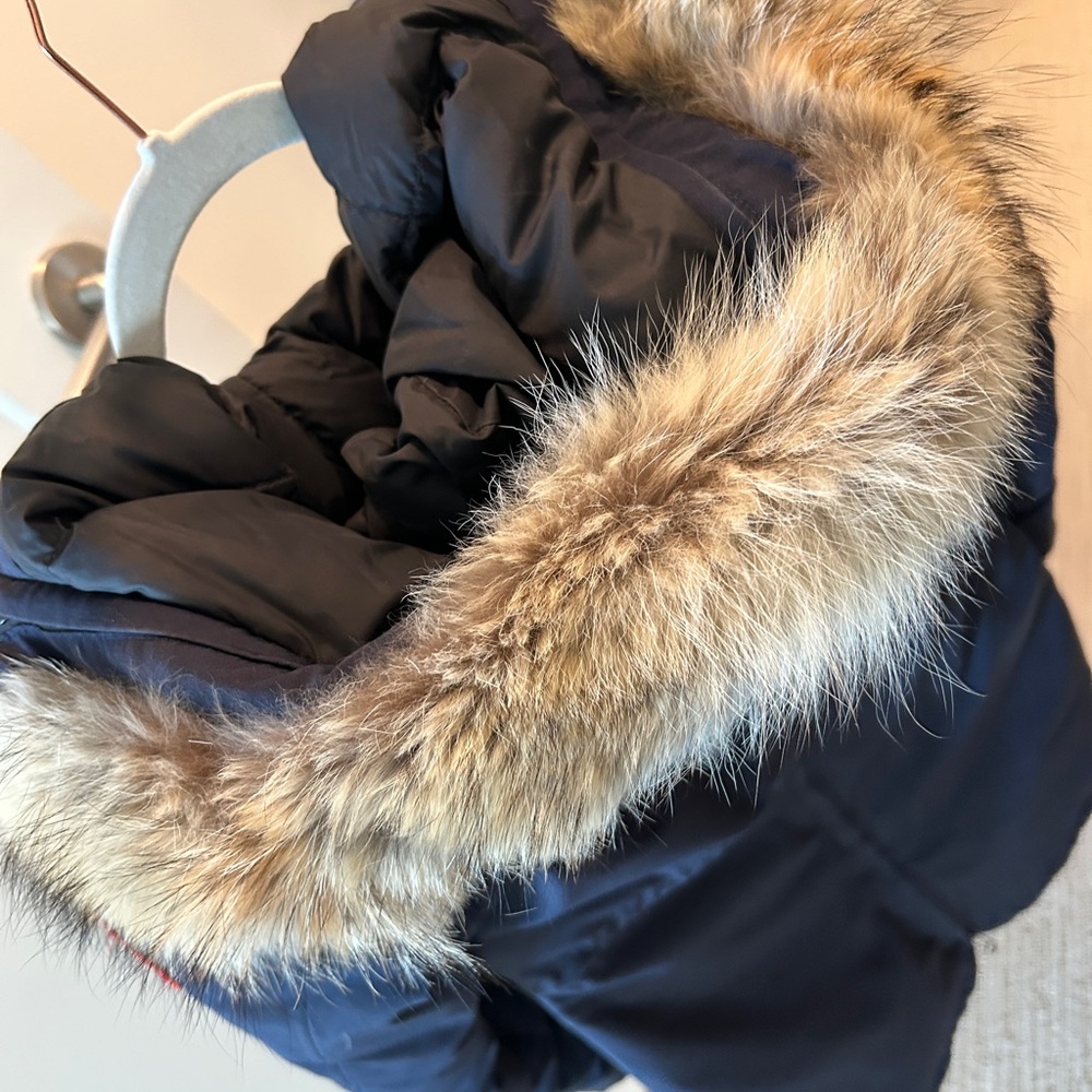 Canada Goose Navy Parka - Picture 5 of 8